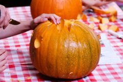 Halloweem-Birkegaardens-Haver-okt-24-abw-2-scaled