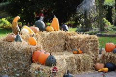 Halloweem-Birkegaardens-Haver-okt-24-abw-36-scaled