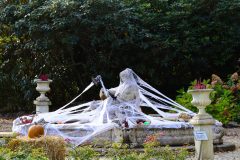 Halloweem-Birkegaardens-Haver-okt-24-abw-40-scaled