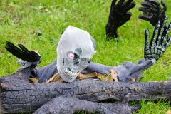 Halloweem-Birkegaardens-Haver-okt-24-abw-62-scaled