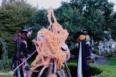 Halloweem-Birkegaardens-Haver-okt-24-abw-9-scaled