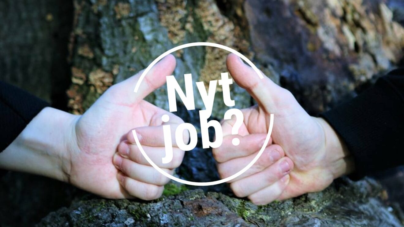 Elgiganten skal ansætte 40 medarbejdere til nyt varehus i Kalundborg