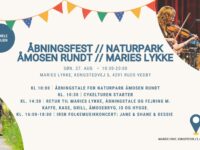 Åbningsfest