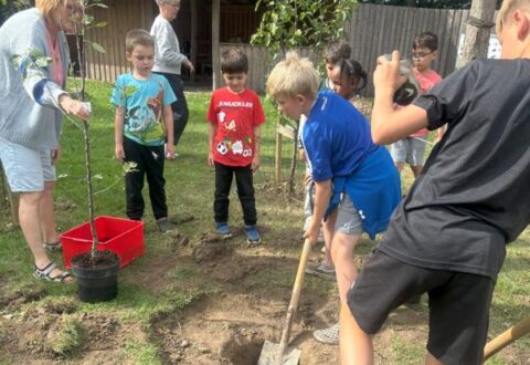 Sætter jordbær under lup og planter træer