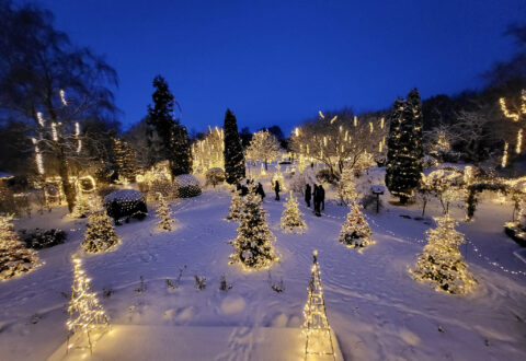 Strålende jul i Birkegårdens Haver