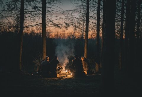 Foto: Nat i Naturen/Mads Tolstrup